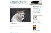 「ひびいろいろblog」大阪下町風味の猫写真＋猫首輪